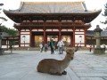 Экскурсионно-гастрономический тур по Японии: фото 71