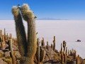 Перу – Боливия + Солончак Уюни: фото 77