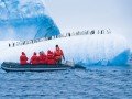 Однодневная экскурсия в Антарктиду: фото 6