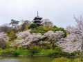 Экскурсионно-гастрономический тур по Японии: фото 8