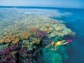 Большой Барьерный Риф: фото 2