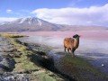 Путешествие в Боливию: фото 3
