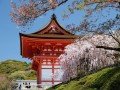 Экскурсионно-гастрономический тур по Японии: фото 85