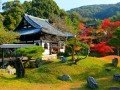 Экскурсионно-гастрономический тур по Японии: фото 87