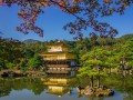 Экскурсионно-гастрономический тур по Японии: фото 88