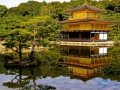 Экскурсионно-гастрономический тур по Японии: фото 89