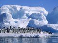 Экспедиционный круиз в Антарктику на т/х «Ocean Endeavour»: фото 9