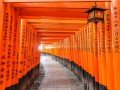 Экскурсионно-гастрономический тур по Японии: фото 100