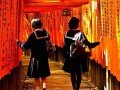 Экскурсионно-гастрономический тур по Японии: фото 101