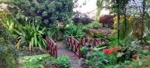 Ботанические сады «Андромеда»