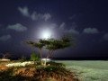 Ночная Аруба: фото 2