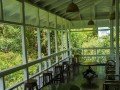 Тринидад. Природный центр Asa Wright Nature Centre: фото 1
