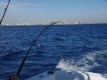 Рыбалка в открытом океане: фото 1