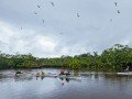 Круиз по Амазонии: фото 11