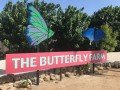 Ферма бабочек: фото 3