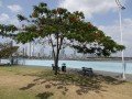 Панама – природа и пляж: фото 17