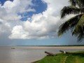 Путешествие в Суринам: фото 4