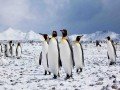 Антарктида за день: фото 5