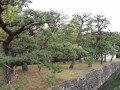 Экскурсия по Киото: фото 2