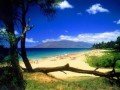 Мауи - жемчужина Гавайского архипелага: фото 2