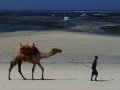 Сафари в Кении и пляжный отдых в Момбасе: фото 31