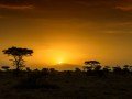 Магия национальных парков Кении и Танзании: фото 42