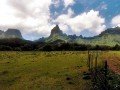 Туры на Таити: фото 13
