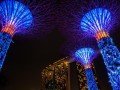 Новый год в Сингапуре: фото 7