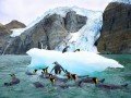 Антарктида за день: фото 9