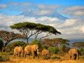 Танзания: фото 1