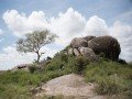 Магия национальных парков Кении и Танзании: фото 83