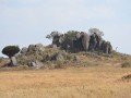 Магия национальных парков Кении и Танзании: фото 75