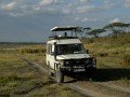 Магия национальных парков Кении и Танзании: фото 79
