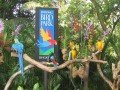 Птичий Парк в Джуронге: фото 5