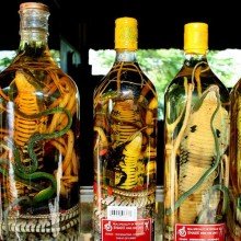 Спиртовая настойка со змеей в бутылке