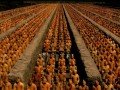 Терракотовая армия императора Цинь Шихуанди: фото 2