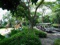 Зоопарк Сингапура: фото 5